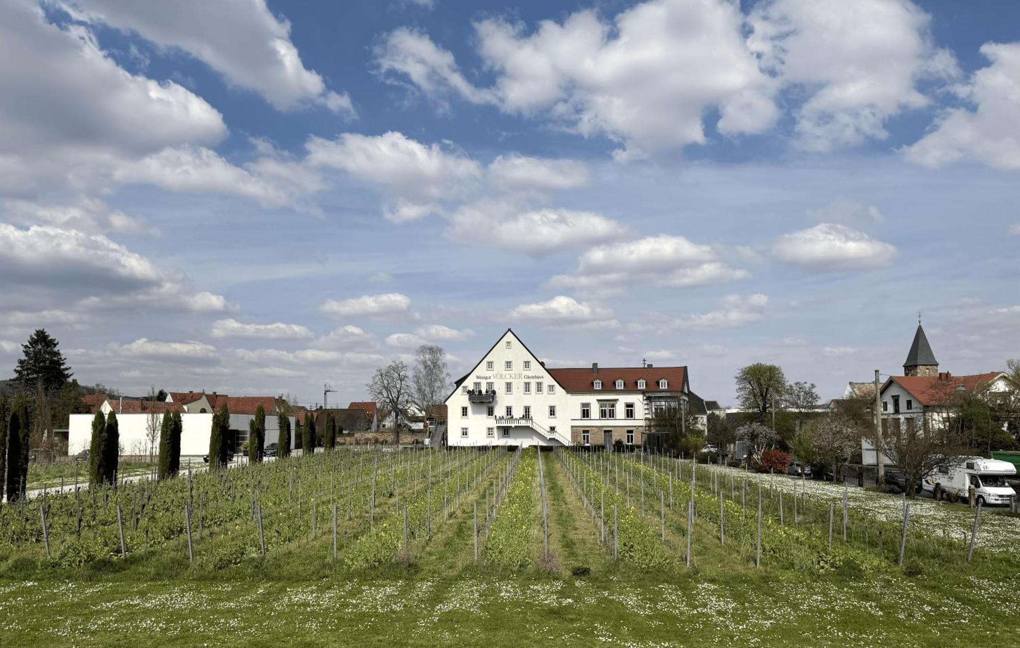 Апартаменти Weinzeit13 Нойштадт-ан-дер-Вайнштрасе Екстер'єр фото